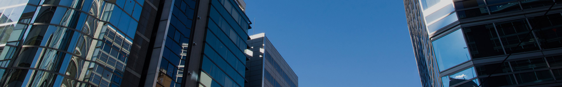 全價貓糧 魚肉味-貓糧-濟南寶翠飼料有限公司官方網(wǎng)站